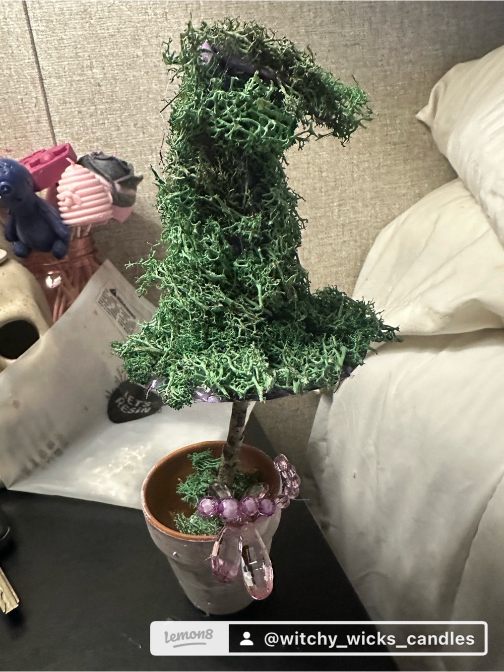 Witches tree